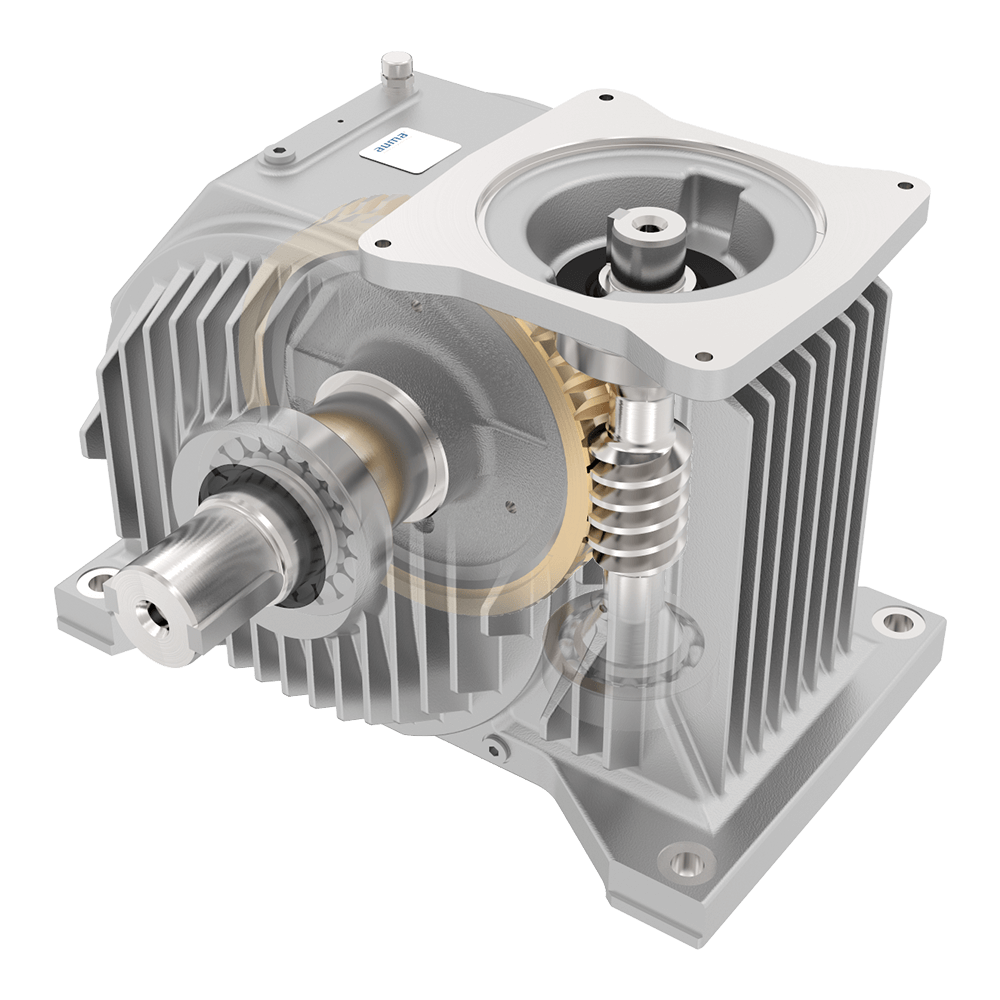 Single stage worm gear unit